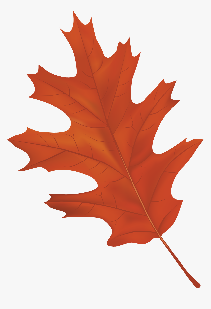 Autumn Leaf Clipart Png, Transparent Png, Free Download