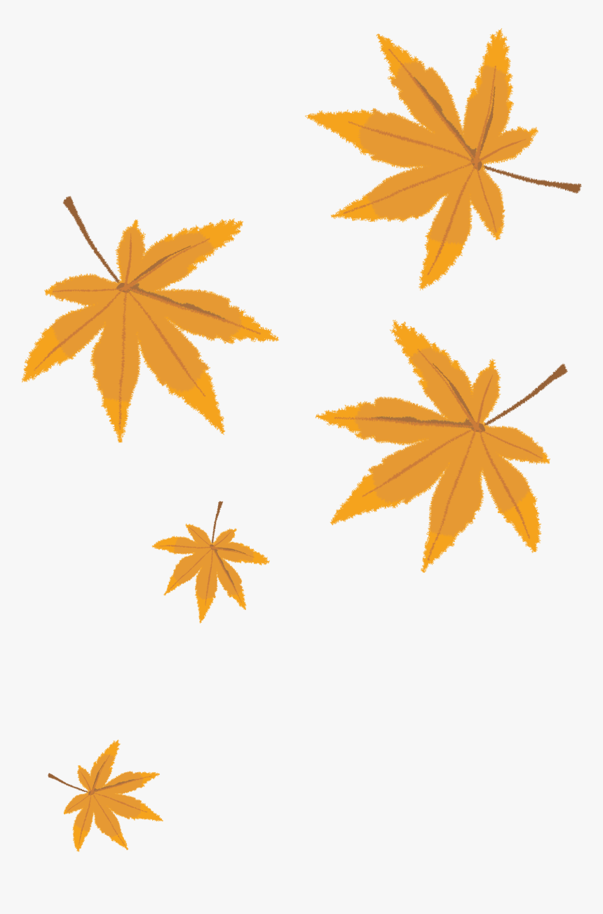 Autumn Leaves Png Vector Material Png Download - Transparent Fall Leaf Vector, Png Download, Free Download