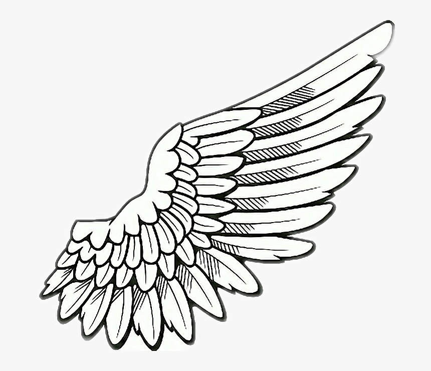 #wings #fly #rightwing - Clip Art Angel Wings Png ...