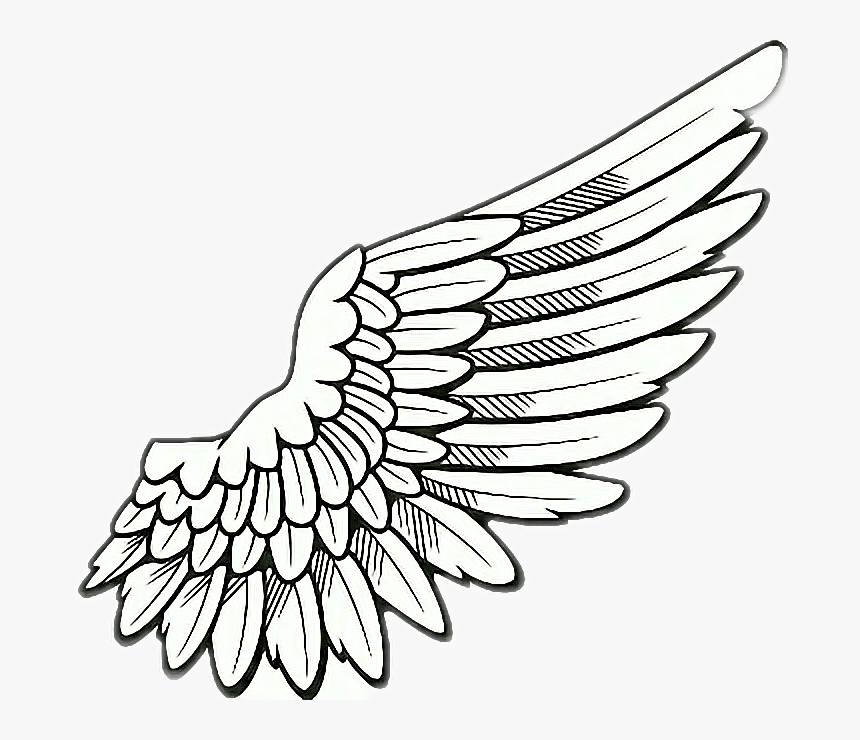 #wings #fly #rightwing - Clip Art Angel Wings Png, Transparent Png, Free Download