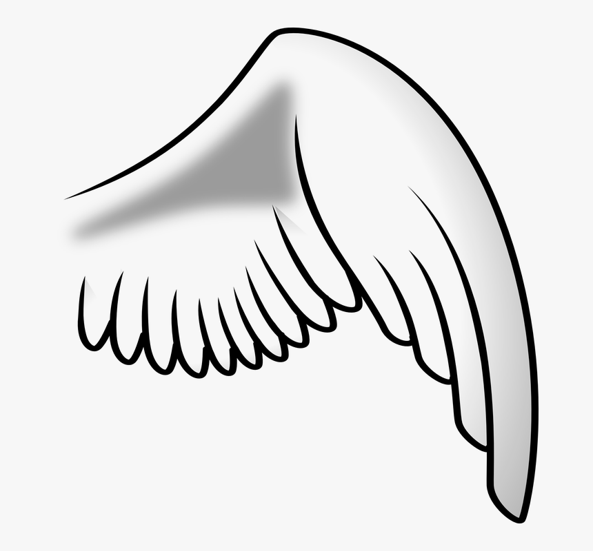 Wing, Angel, Right, Chicken - Right Angel Wing Png, Transparent Png, Free Download