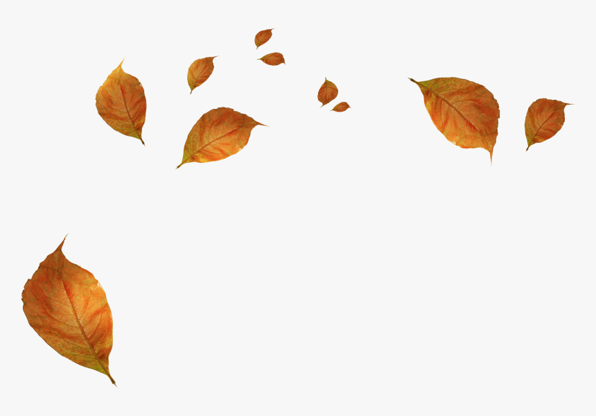 Withered Autumn Leaves Png Download - Fall Leaves Transparent Background,  Png Download - kindpng