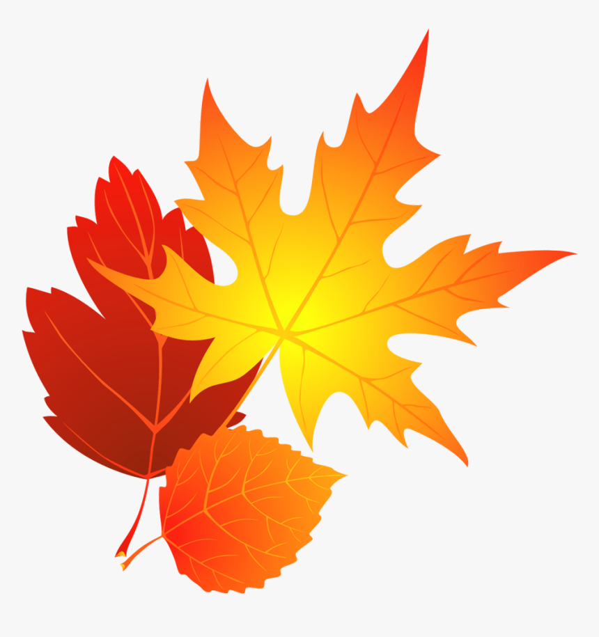 Autumn Leaf Clipart - Transparent Background Fall Leaves Clip Art, HD Png Download, Free Download