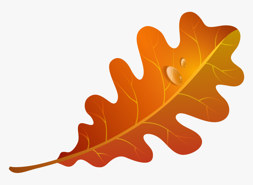 Fall Orange Leaf Png Clipart Imageu200b Gallery Yopriceville - Fall Leaf Clip Art, Transparent Png, Free Download