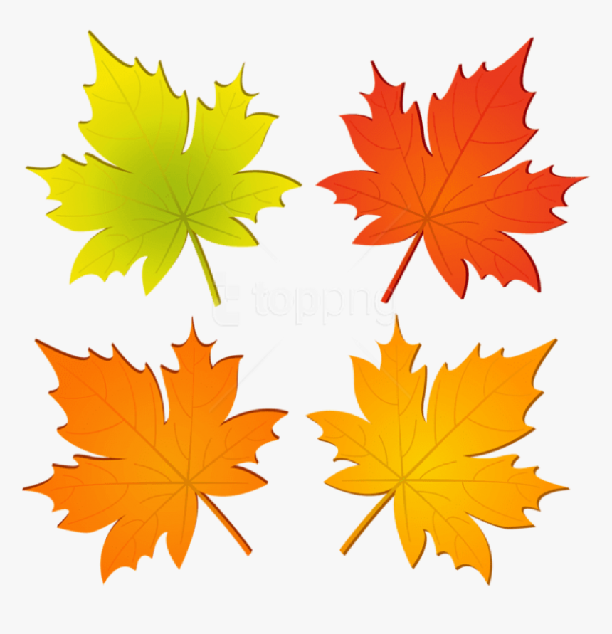 Free Png Set Of Autumn Leaves Png Png Images Transparent - Autumn Leaf Clipart Png, Png Download, Free Download