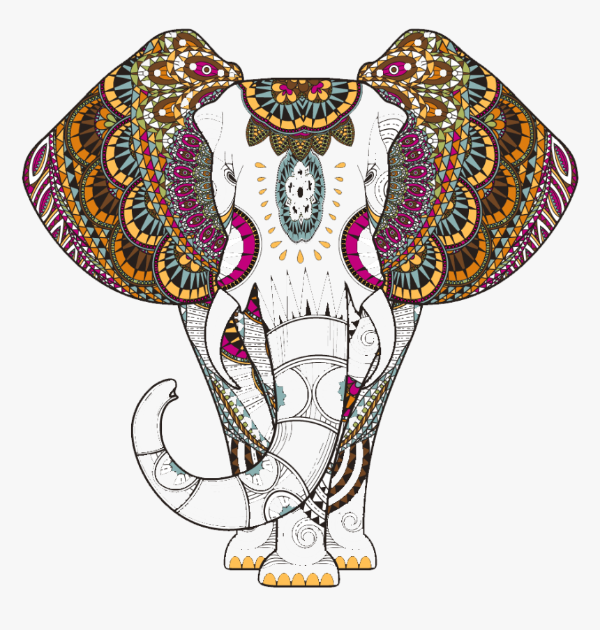 Women's Weekly Colouring Book, HD Png Download, Free Download