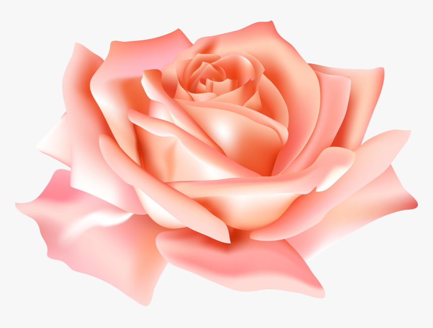 Peach Flower Clipart Mexican Flower - Transparent Background Blue Rose Png, Png Download, Free Download