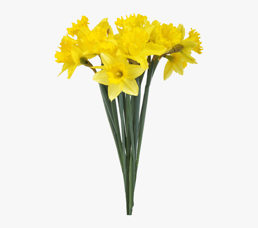 Spring Daffodils Transparent Background - Flower Bouquet Transparent Background, HD Png Download, Free Download