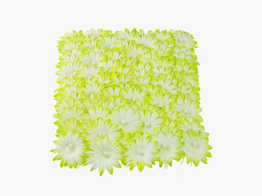 100 Green Mulberry Paper Flowers - Symmetry, HD Png Download, Free Download