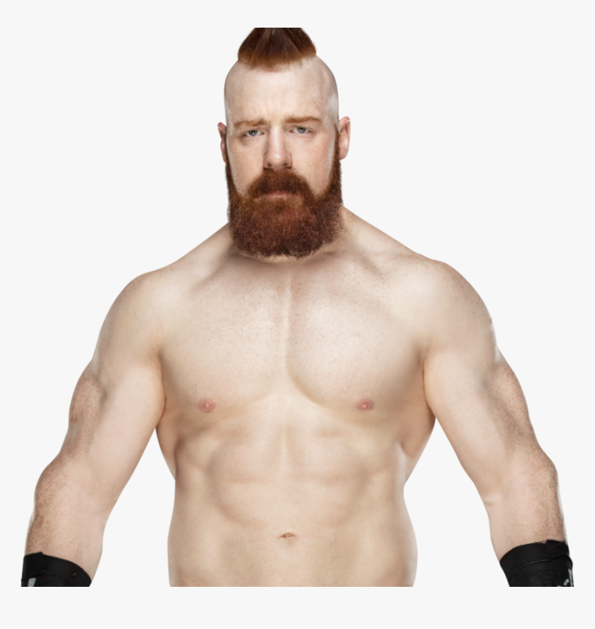 Sheamus Png Image - Sheamus Png 2017, Transparent Png, Free Download