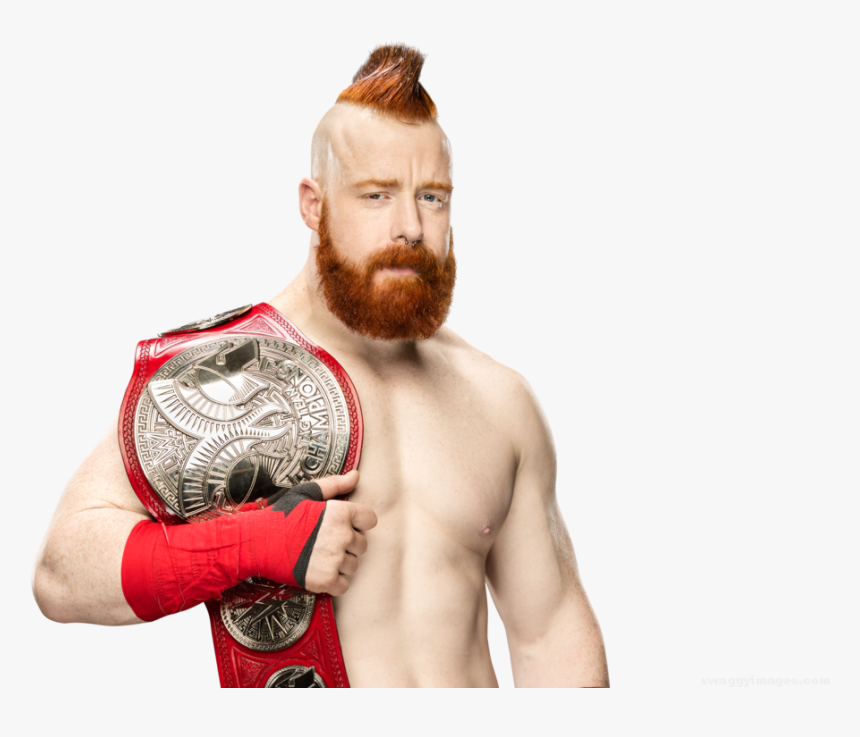 Transparent Cesaro Png - Hardy Boyz Vs Sheamus And Cesaro, Png Download, Free Download