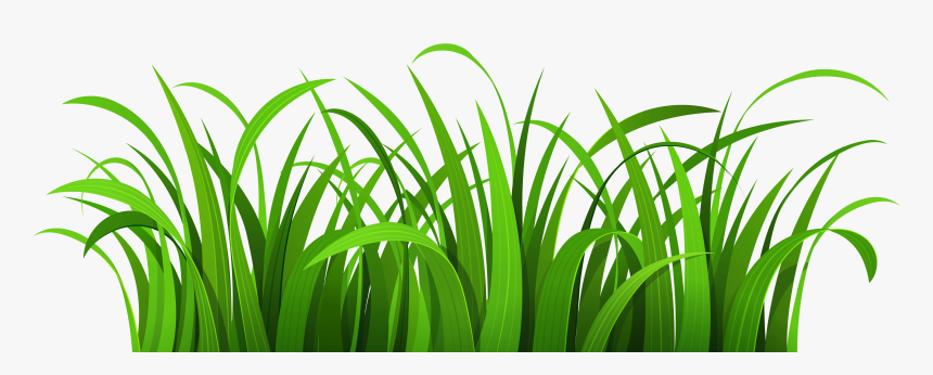 Cartoon Grass - Clipart Library - Transparent Background Grass Clipart, HD  Png Download - kindpng
