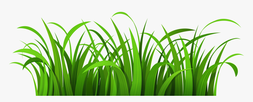 Cartoon Grass Background