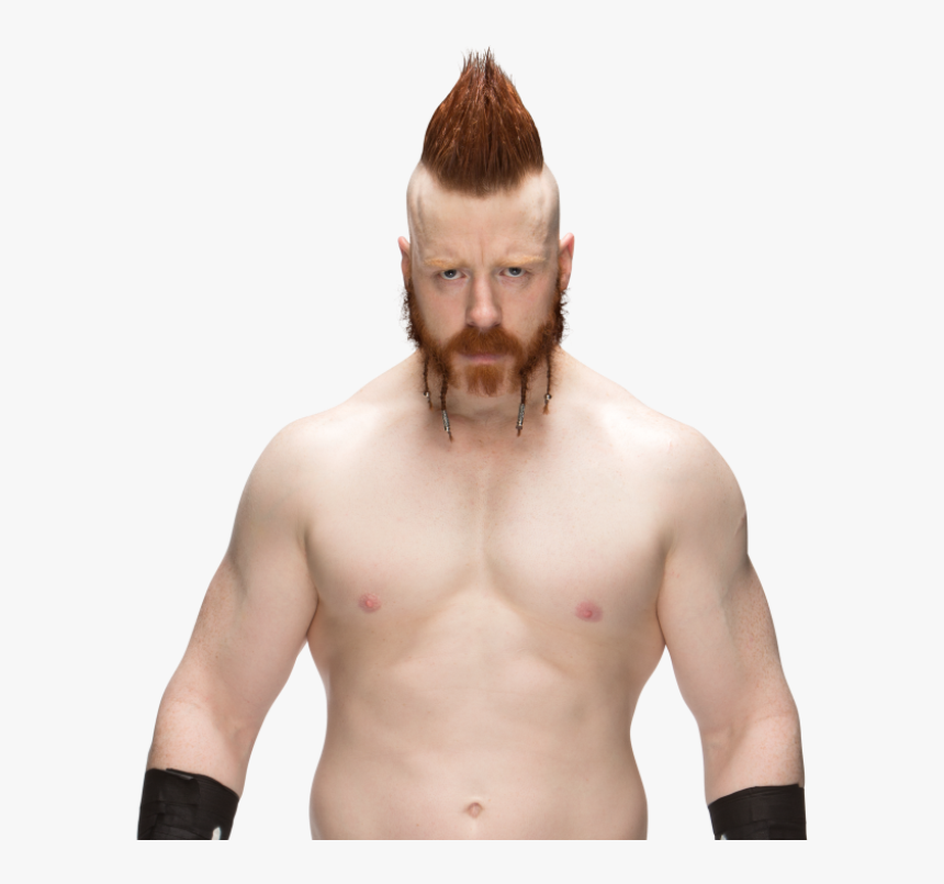 Svr06 Wiki - Sheamus United States Champion Png, Transparent Png, Free Download