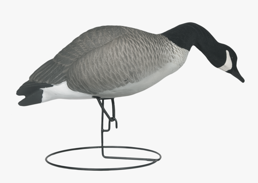 Transparent Goose Png - Canada Goose, Png Download, Free Download