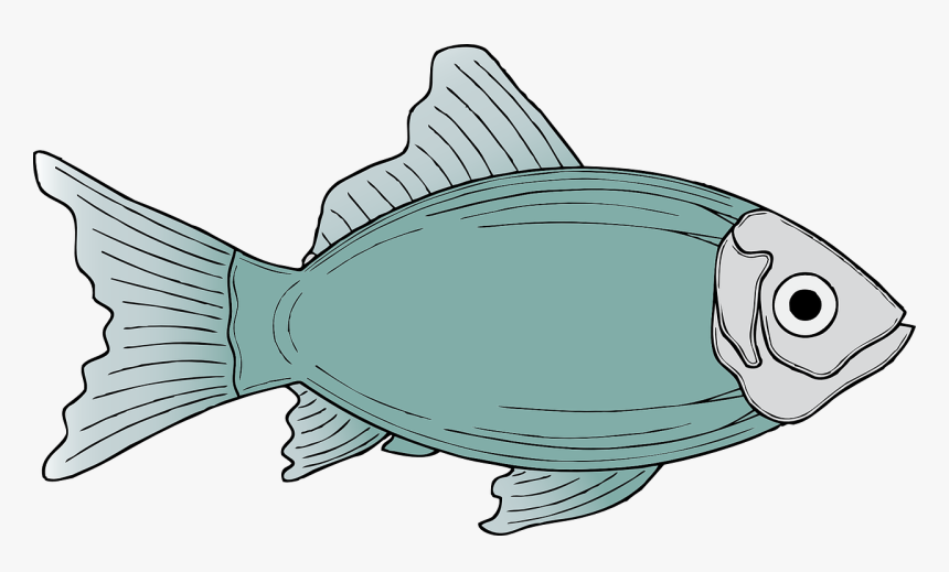 Fish Clipart, HD Png Download, Free Download