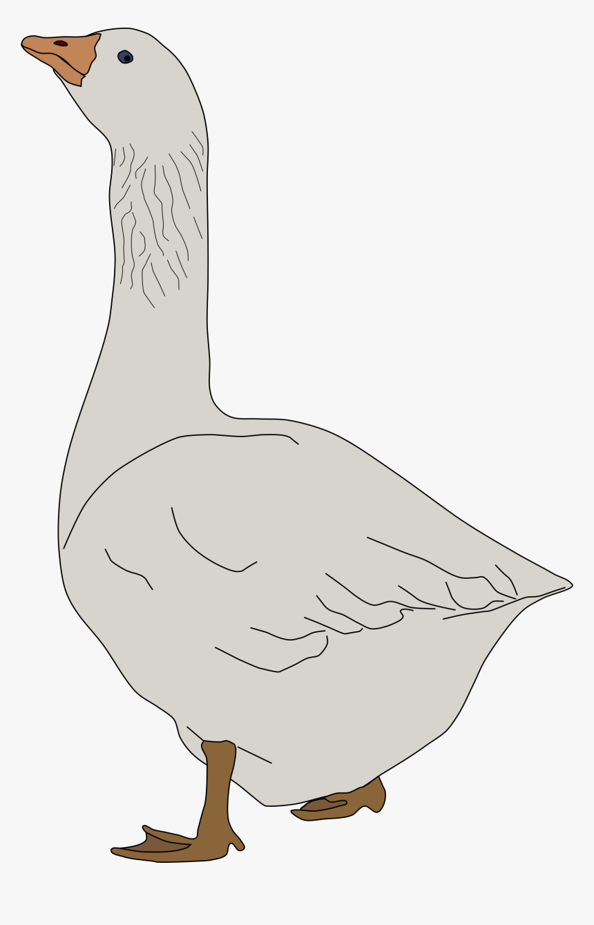 Goose Clipart Clip Art - Goose Clipart, HD Png Download, Free Download