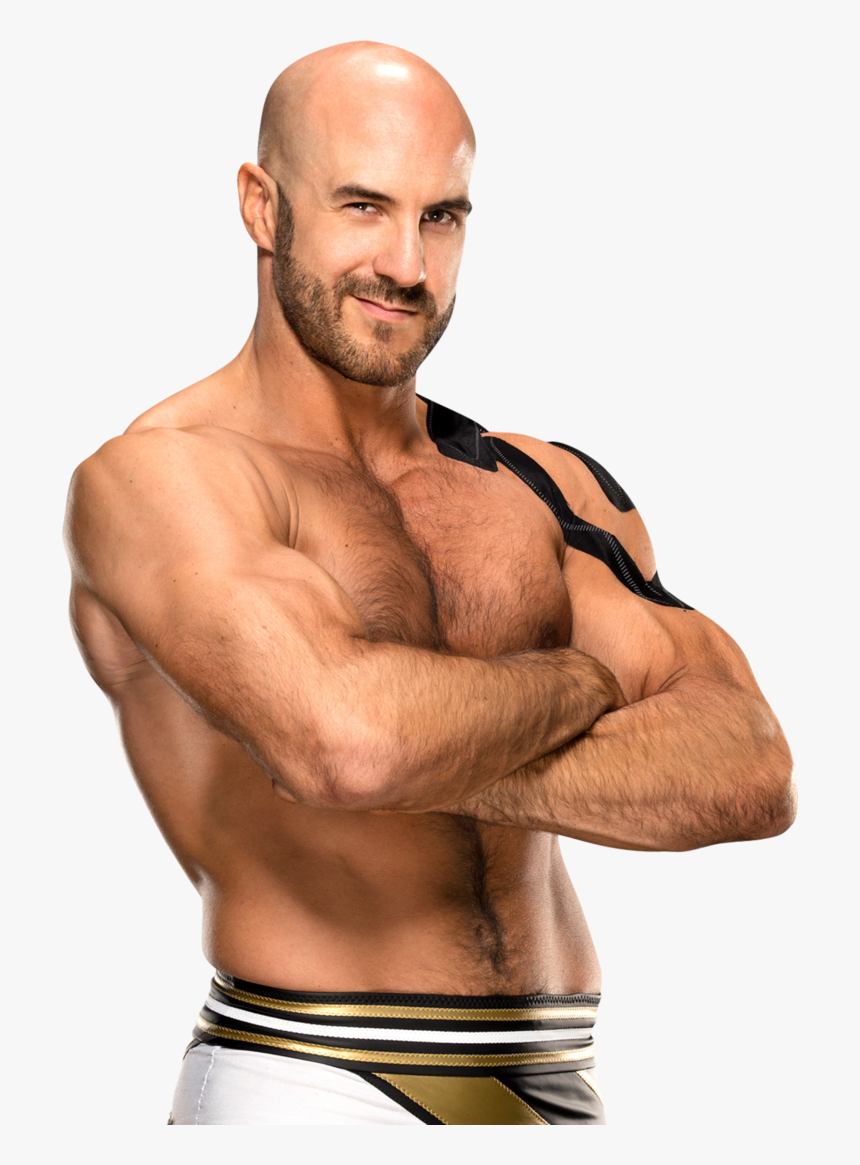 Transparent Cesaro Png - Cesaro Png, Png Download, Free Download