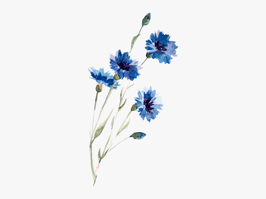 Blue Flowers Watercolor Png, Transparent Png, Free Download