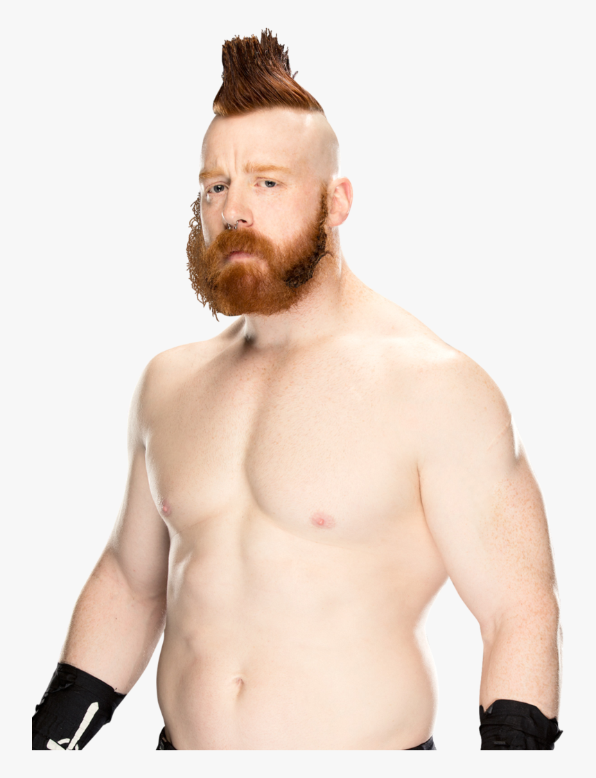 Transparent Sheamus Png - Wwe Sheamus 2018 Png, Png Download, Free Download