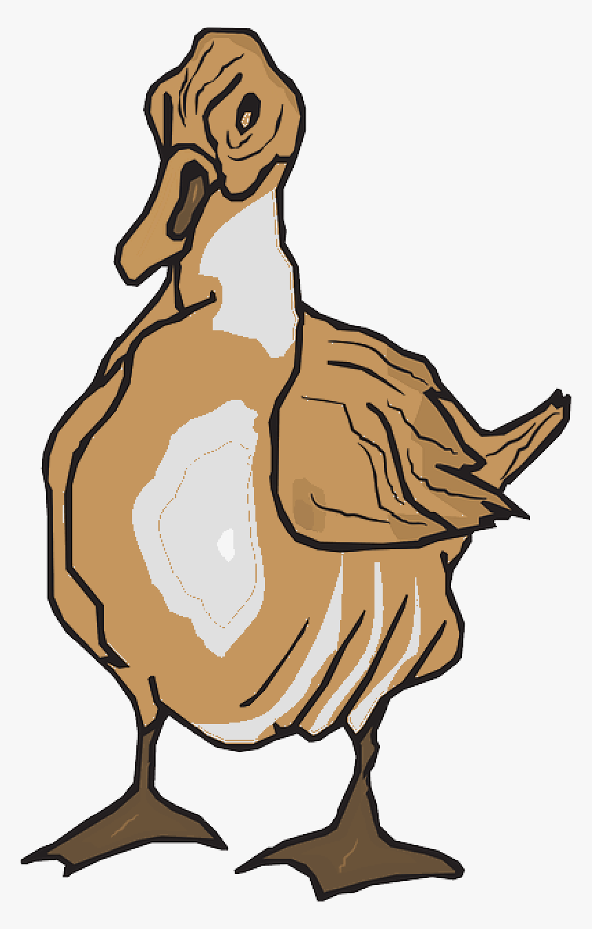 Duck Clip Art Goose Portable Network Graphics Vector - Duck, HD Png Download, Free Download