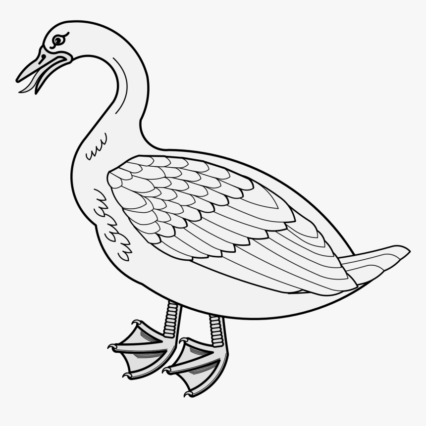 Transparent Goose Head Png - Goose, Png Download, Free Download