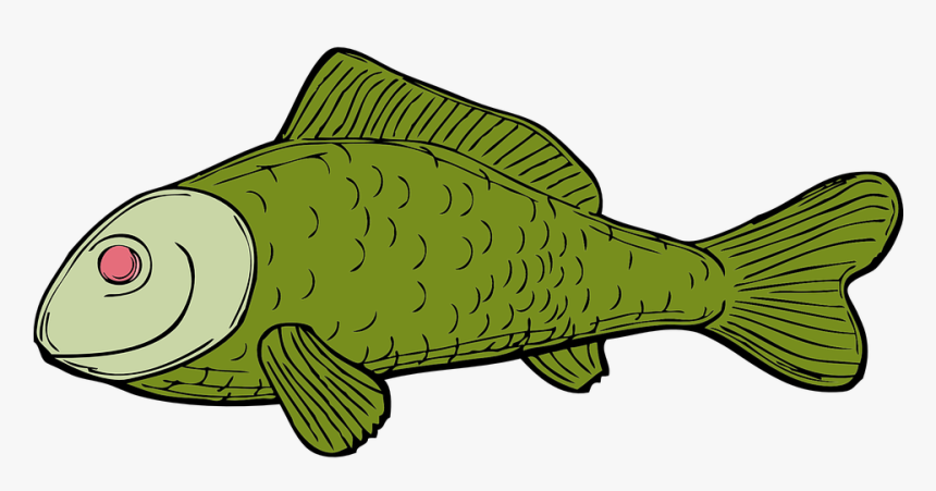 Fish, Green, Aquatic, Fins, Scale - Dead Fish Cartoon No Background, HD Png Download, Free Download