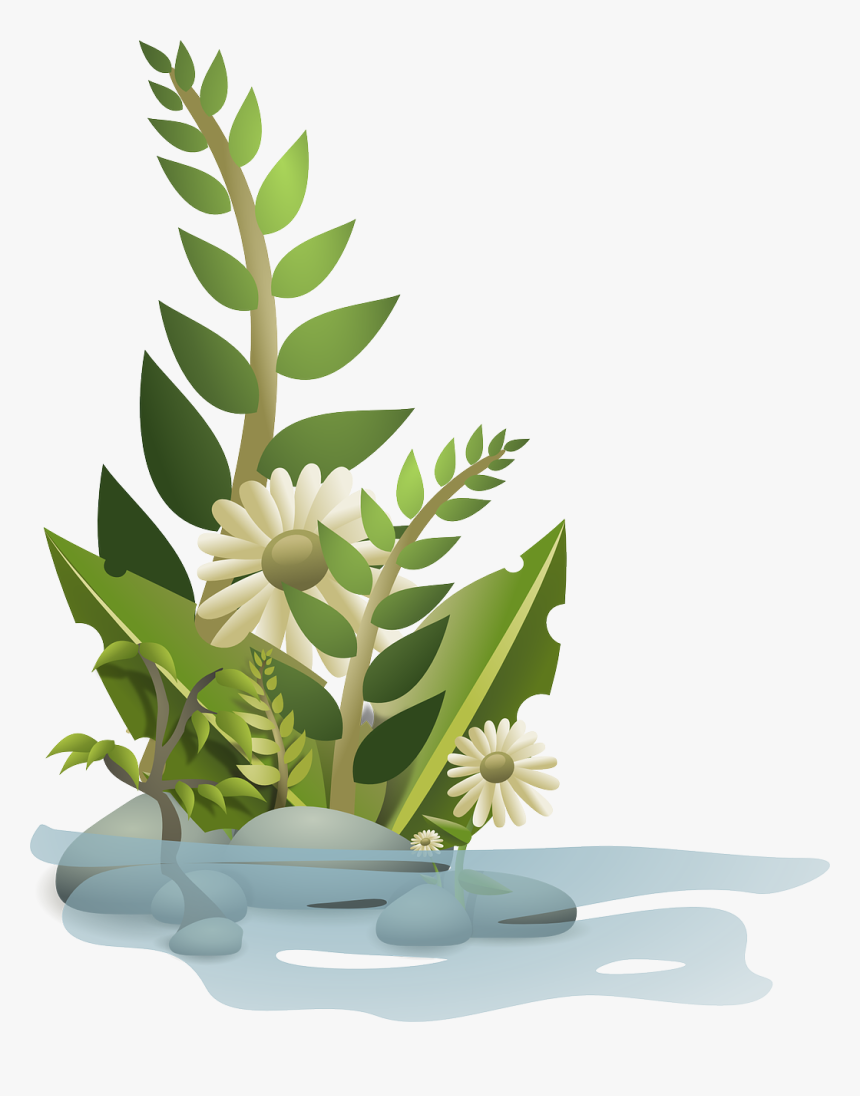 Aquatic Plants Clipart, HD Png Download, Free Download