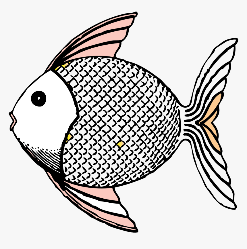 Bony-fish - Animals With Scales Clipart, HD Png Download, Free Download