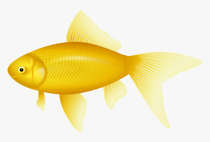 Bony-fish - Transparent Background Fish Clipart Png, Png Download, Free Download