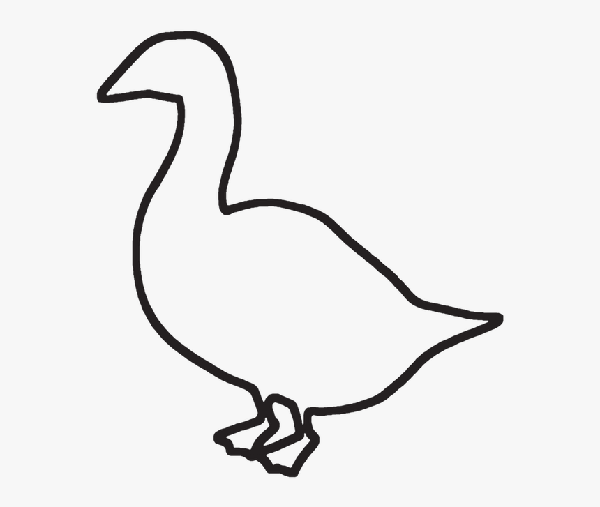 Transparent Goose Head Png - Seabird, Png Download, Free Download