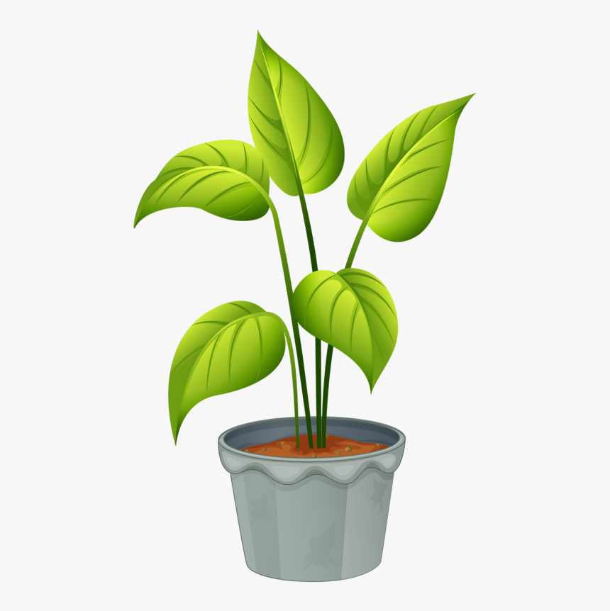 Green Home Plant - Plant In Pot Clipart, HD Png Download, Free Download
