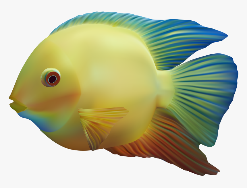 Transparent Fish Clipart Images - Transparent Background Ocean Fish Png, Png Download, Free Download