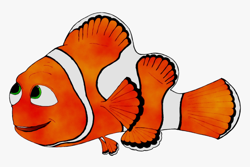 Clip Art Cartoon Fish Orange S - Coral Reef Fish, HD Png Download, Free Download