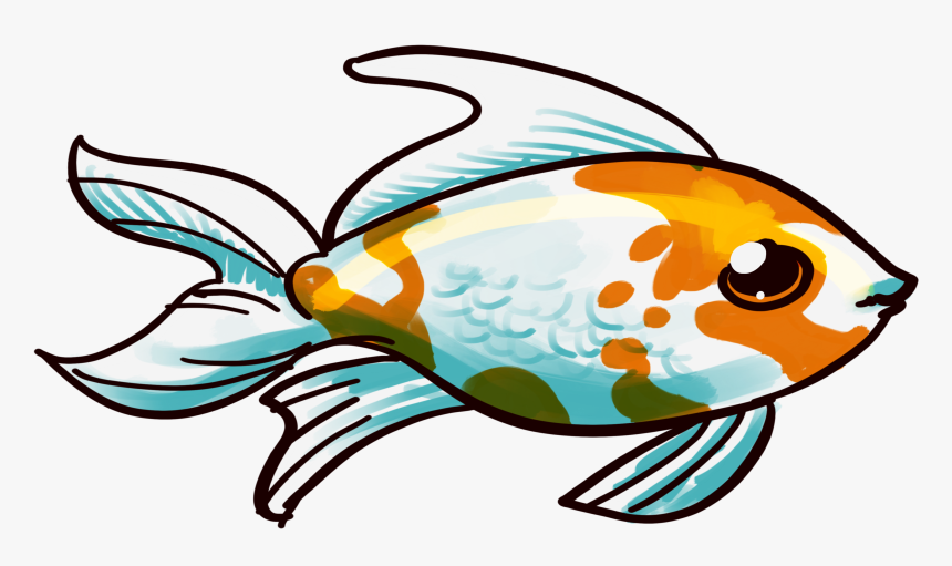 Beautiful Fish Png, Transparent Png, Free Download