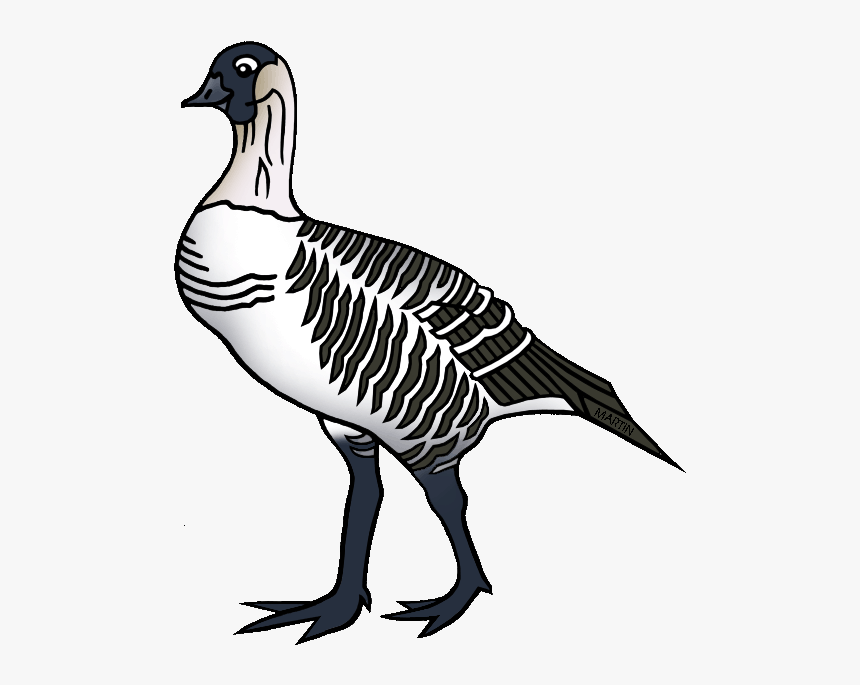 Nene Frames Illustrations Hd - Hawaii State Bird Clipart, HD Png Download, Free Download