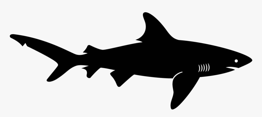 Transparent Png Shark - Transparent Background Shark Clipart, Png Download, Free Download