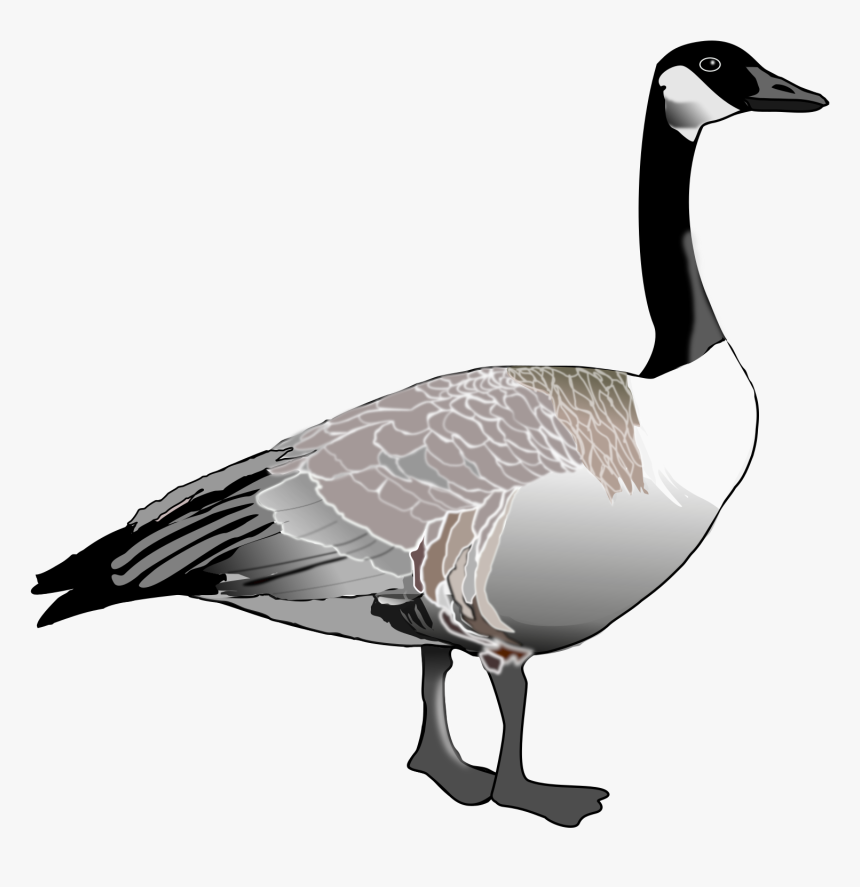 Goose Transparent, HD Png Download, Free Download