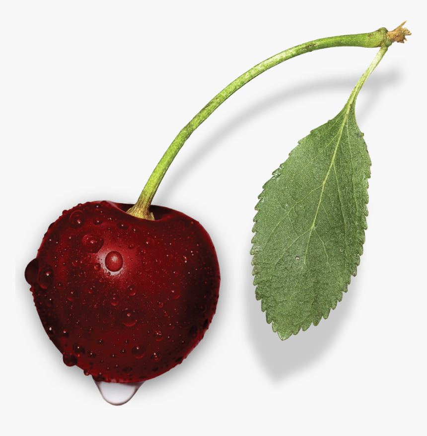 Transparent Black Cherry Png - Black Cherry, Png Download, Free Download