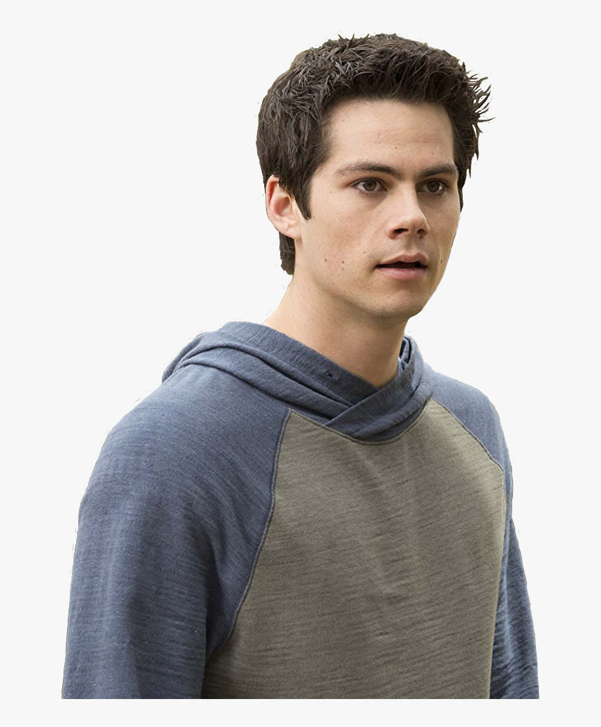 Transparent Stiles Stilinski Png - Dylan O Brien, Png Download, Free Download