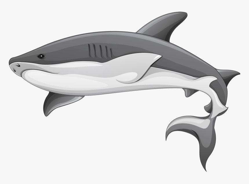 Shark Png - Transparent Background Shark Clipart, Png Download, Free Download