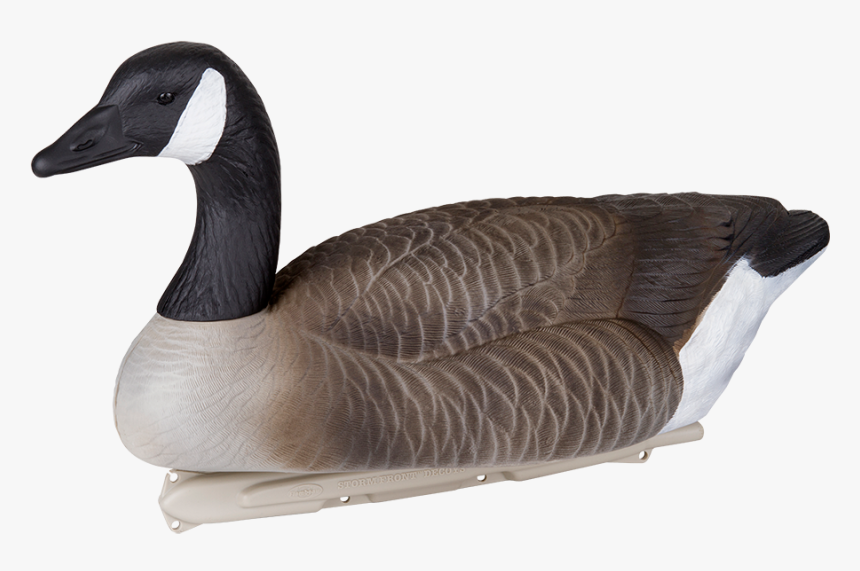 Canada Goose, HD Png Download, Free Download