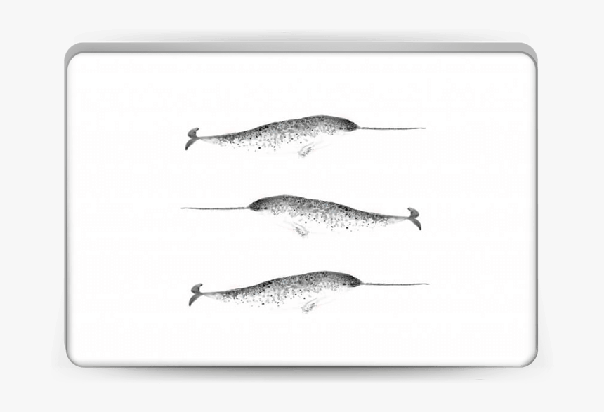 Narwhale Skin Laptop - Long Nose Gar, HD Png Download, Free Download