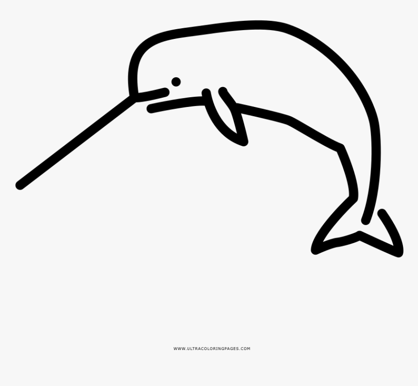 Coloring Ideas Narwhal Coloring Pictures Ideas Page - Coloring Book, HD Png Download, Free Download