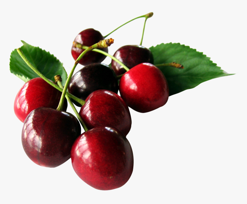 Cherry Images Png, Transparent Png, Free Download