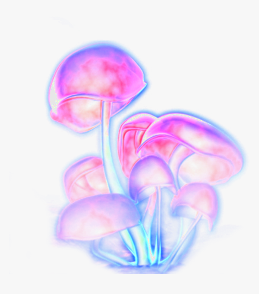 Transparent Mushroom Png - Trippy Mushroom Transparent, Png Download, Free Download