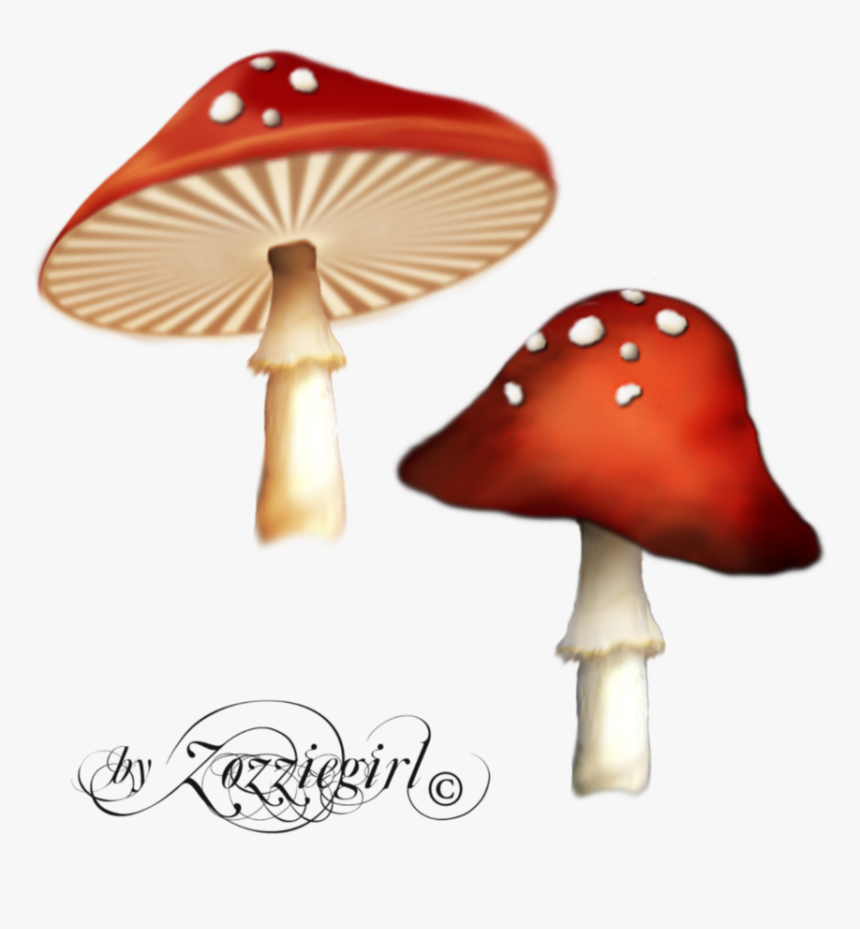 Free Icons Png - Magical Mushroom Png, Transparent Png, Free Download