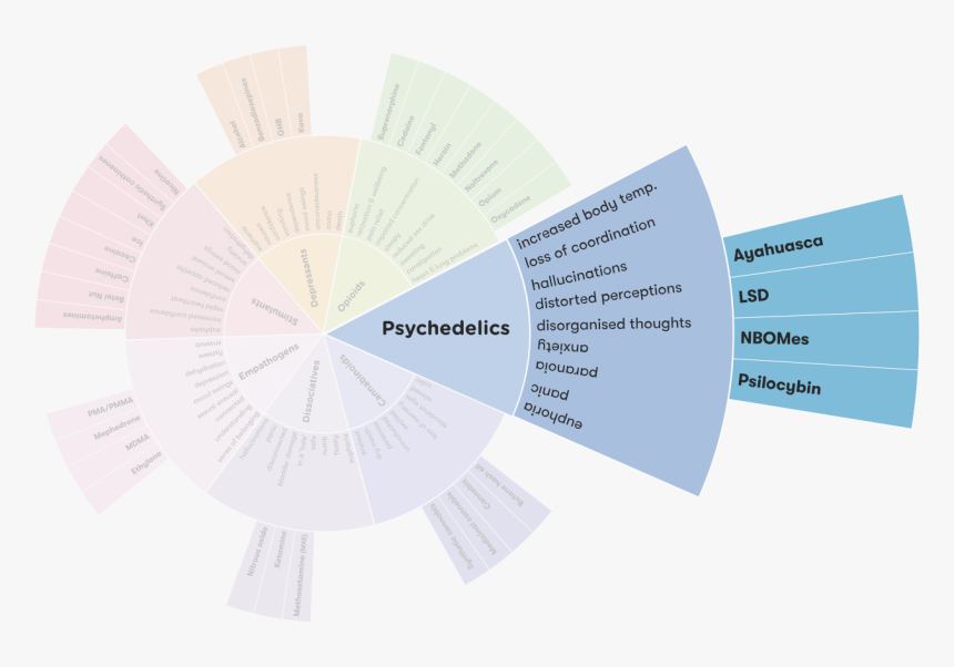 Drug Wheel Segment - Adf Drug Wheel, HD Png Download, Free Download