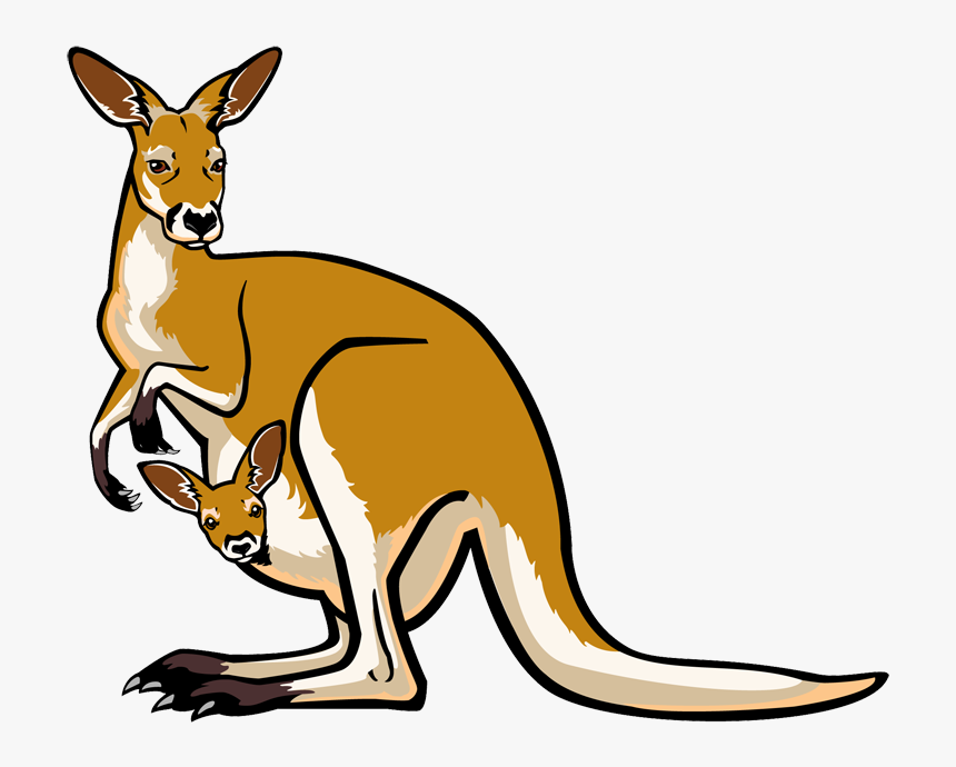 And Joey - Kangaroo Clipart, HD Png Download, Free Download