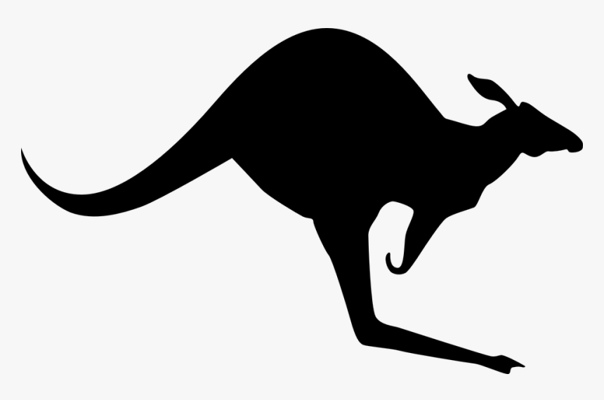 Kangaroo Png Hd - Australia Kangaroo Vector, Transparent Png, Free Download